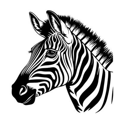 Zebra Footwears profile