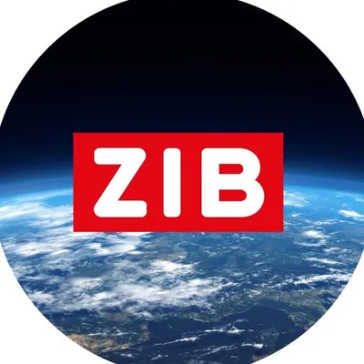 Zeit im Bild - ZIB profile