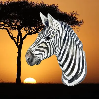 Zeitreisezebra Memes profile