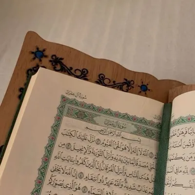 صلي علي النبي profile