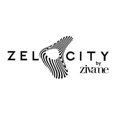 Zelocity profile