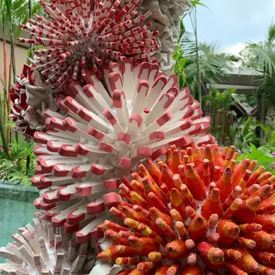 Zemer Peled profile