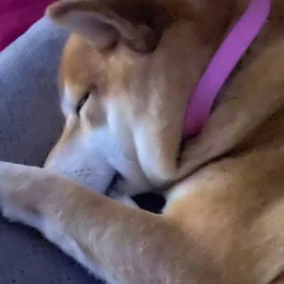 ZeRo profile