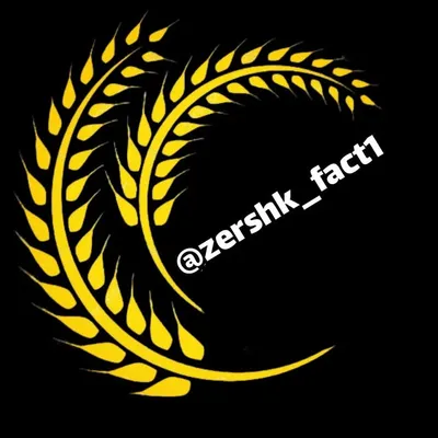 فعالم ⬅️follow ➡️کنید profile
