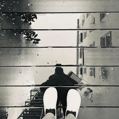 Zh profile