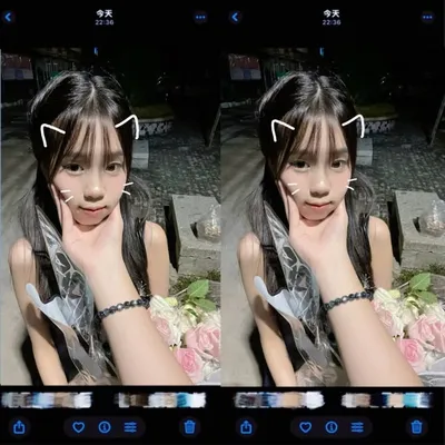 心 profile