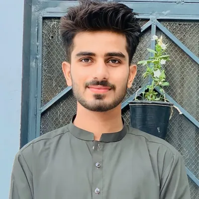 Zia Sabqi profile