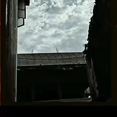 ZIKU profile