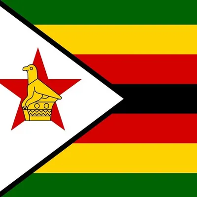 Zimbabweans profile