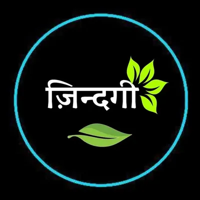 zindgi ka safar🧗 profile