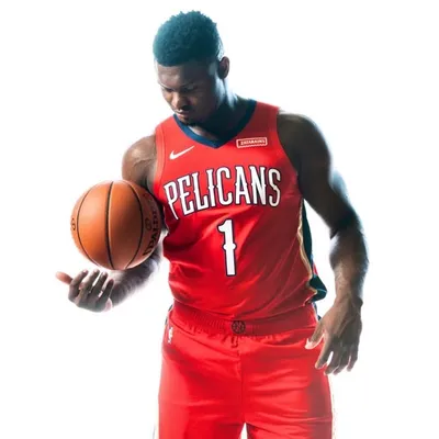 Zion Williamson profile