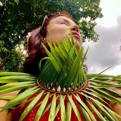 profile