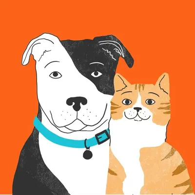 Zoetis Petcare profile