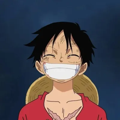 Luffy profile