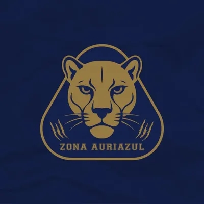 Zona Auriazul profile