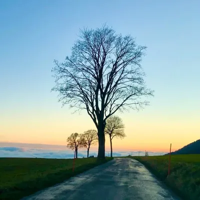 Beauty of Nature ๐ธ profile
