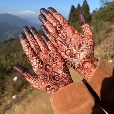 Zubeda Mehndi Artist Kolkata🌿❤️ profile