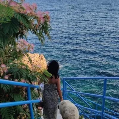 ZuZu profile